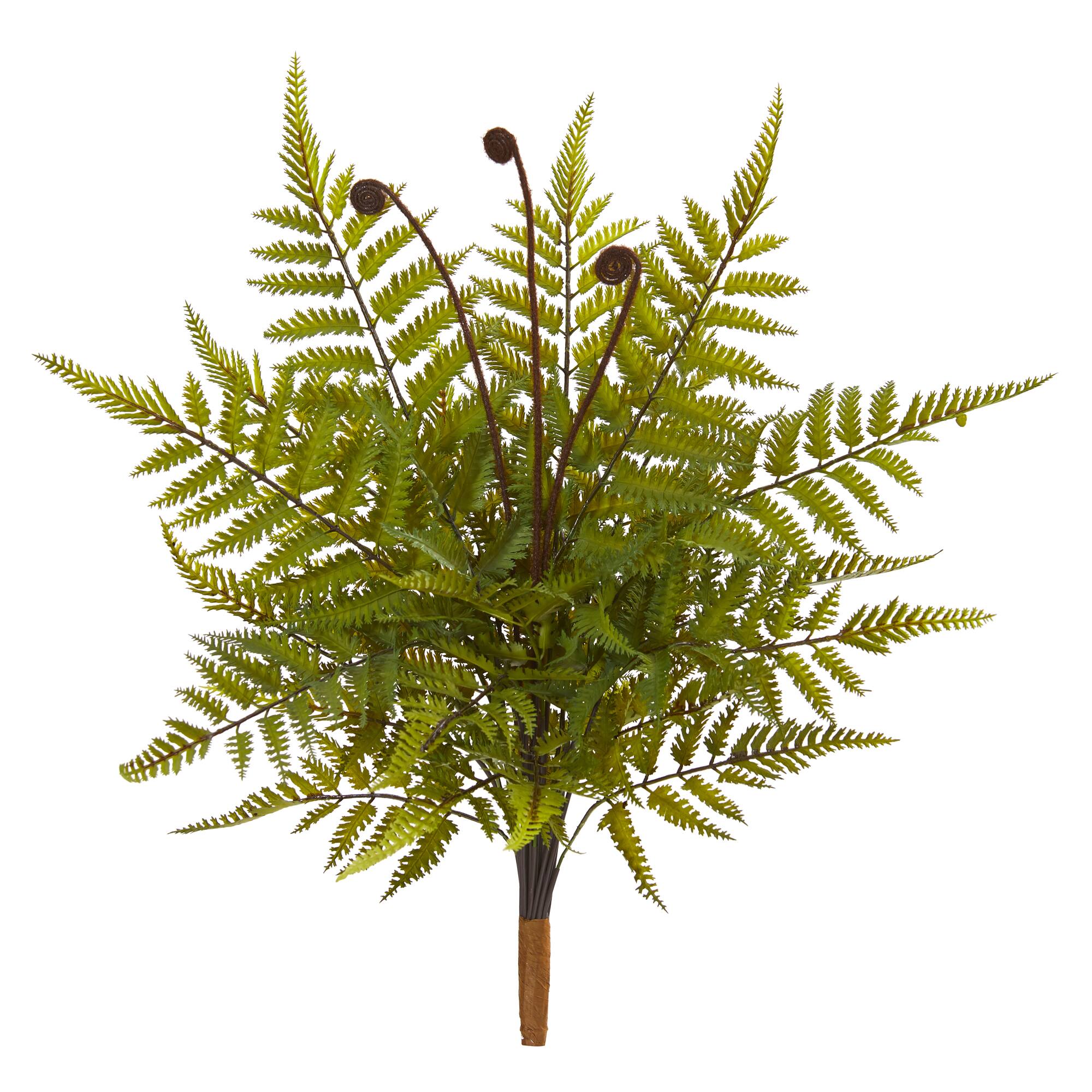 Green Fern Pick, 3ct.